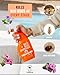 All Natural Bed Bug Spray -Non-Toxic Bed Bugs Killer - 2 Bottle Pack 16 oz + 1 oz Concentrate - Fast-Acting Beds Bug Killer | Kills Fleas and Mites