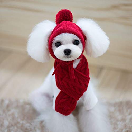 Amiispe Winter warme gestrickte Mütze Schal für Hunde Hunde Hüte Haustiere Produkte Lustige Cosplay Hund Cap Für Chihuahua Welpen zube