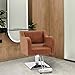 BarberPub Classic Salon Chair for Hair Stylist,Hydraulic Barber Styling Chair,Beauty Salon Spa Equipment 3802 (Brown)