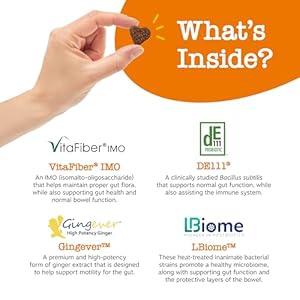 Zesty Paws Probiotics for Dogs – Digestive Enzymes for Gut Flora, Digestive Health, Diarrhea & Bowel Support – Clinically Studied DE111 – Dog Supplement Soft Chew for Pet Immune System – VS, 90 Count