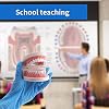 Dental Standard Teeth Model - Dental Mouth Model Human Teeth Model Tooth Brushing Model for Teaching Studying