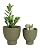 vensovo Terracotta Self Watering Plant Pot - 2 PCS 6 Inch & 8 Inch Terra Cotta Plant Pot with Drainage Hole and Saucer, Small & Large Clay Flower Pot with Tray, Plant Pot for Indoor Outdoor Plant