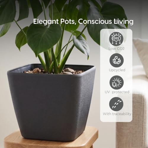 Image of Eha Earth-Friendly Daisy 9 inch Pots and Planters Made with Rice Husk, Set of 2