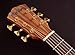 Washburn Bella Tono 6 String Acoustic-Electric Guitar, Right, Gloss Natural (BTSC56SCE-D)