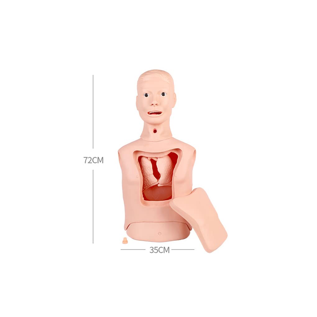 Zaawansowany model pielęgnacji nosowo-żołądkowej i tchawicy model tracheotomii płukanie żołądka model tracheotomii rurki intubacyjnej model rurki żołądkowej wielofunkcyjny trening pielęgniarski