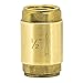 EZ-FLO 20401LF Brass In-Line Check Valve