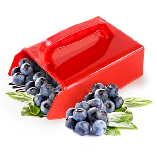 Hausio Cueille-baies – Peigne à myrtilles, peigne à baies, cueille-fruits, cueillette de myrtilles, peigne à myrtilles, avec tige, cueillette de baies,...