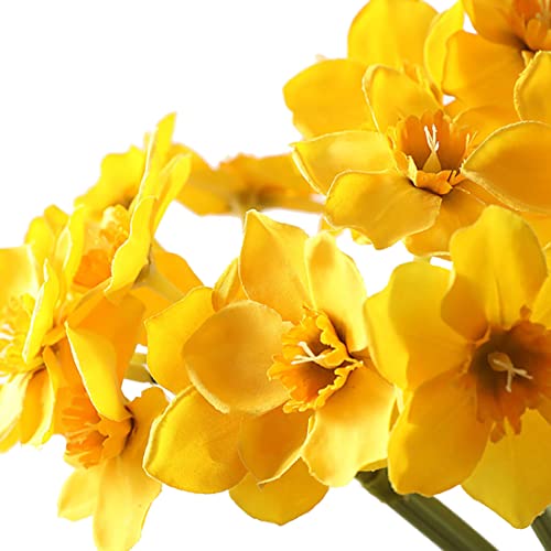 Sunrisee 12 Pcs Artificial Daffodils Flowers 15.7 Inch Fake Silk Narcissus Flower Arrangement For Party Home Wedding Decor thumb #6
