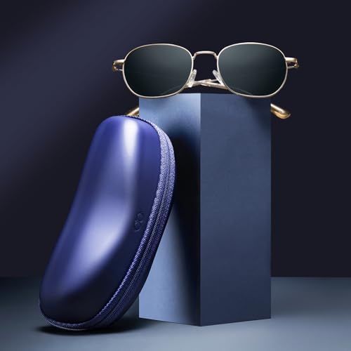 Vincent Chase By Lenskart | Full Rim Round Branded Latest and Stylish Sunglasses | Polarized and 100% UV Protected | Men & Women | Large | VC S13132, gray, L, Gray, Large2