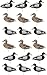 TCDesignerProducts Active Mallard Flat Silhouette Decoys,18-Pack Realistic Duck Hunting Decoys, Male & Female Poses for Marshes, Youth Programs, Landowners, Educators & Waterfowl Events