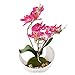 Modern Artificial Flower Decoration, Synthetic Orchids w/ Sleek Curved Planter, Pink
