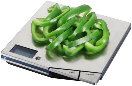 Stainless Steel Scale
