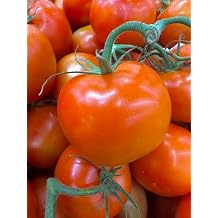 Kejora Fresh Tomatoes, 2 Lbs