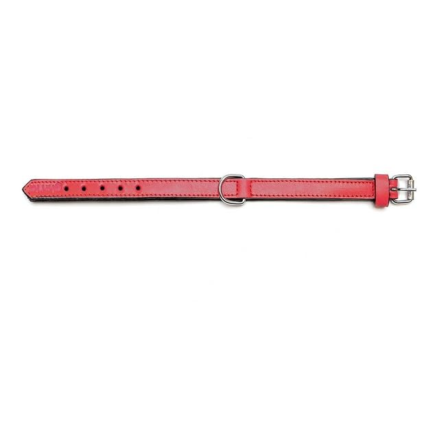 Foto 2 de 7 de GLORIA Collar Piel Acolchado 55CM X 25MM Rojo