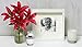 Trupoint Memorials Small Urns for Human Ashes Keepsake, Decorative Mini Cremation Urn for Adult Men and Women, Small Pearl with Silver Lining