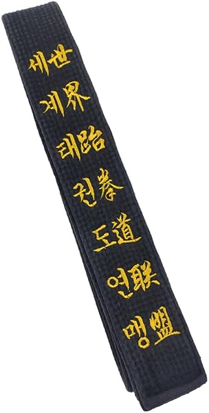 TANZEQI Cinturón Negro Bordado Personalizado para Artes Marciales
