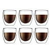 Bodum 4558-10-12 Pavina 6-delige glazenset (dubbelwandig, geïsoleerd, 0,25 liter) transparant