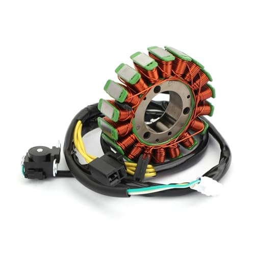 Bobine de stator pour KLX250 : alternateur de rechange pour moteur de moto