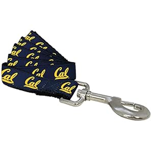 NCAA California Golden Bears Dog Leash (Team Color, Large)