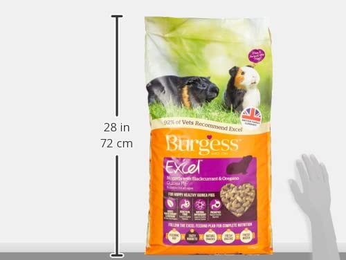Excel Burgess Nuggets para Cobayas 10 kg miniatura 7