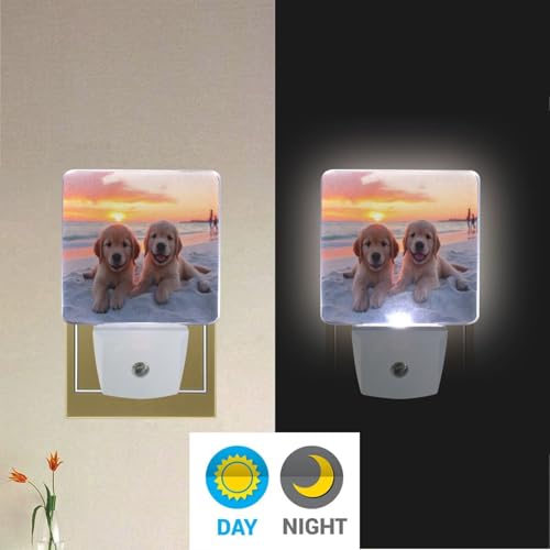Image of Golden Retriever Puppy Dogs Night Lights 2 Pack Plug-in Wall Led Nightlight Auto Dusk-to-Dawn Sensor Lamps for Bedroom Kitchen Bathroom