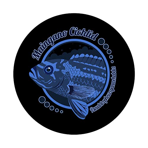 Maingano Cichlid Lake Malawi Mbuna Aquarium Fish Keeper PopSockets Swappable PopGrip, Black - Image 3