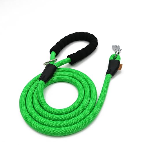 Dog Leash Braided Rope Traction  Walking Training Lead for Mediumlarge Dogs 12  6ft Light Green  Cucciolini Doodles Dog leash braided rope traction  walking training lead for mediumlarge dogs 12  6ft light green   cucciolini doodles