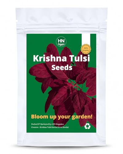 Image of Black Krishna Shyama Tulsi Seeds | Holy Basi | for Home | Kitchen Gardening (Krishna Tulsi)