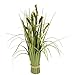 Produktbild Flair Flower Grasbündel Fuchsschwanzgras Stehgras Gras Kunst Kunstgras Unechte Blumen Pflanze Grünpflanze Künstliches Ziergras Dekogras Grasarrangement Borstenhirse Panicoideae Süßgräser Setaria