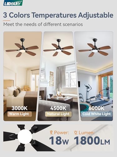 Lediary Ceiling Fans With Lights,42 Inch Ceiling Fans With Lights And Remote,3Cct,6 Speeds,Reversible Dc Motor,Noiseless,Small Black Ceiling Fan For Bedroom Living Room And Patio thumb #2
