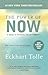 The Power of Now: A Guide to Spiritual Enlightenment