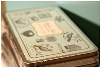 Birds and Nests Rubber Stamps Set By Cavallini & Co.