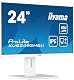 Iiyama Prolite XUB2492HSU-W6 24 Zoll Monitor mit IPS-Panel und 100Hz