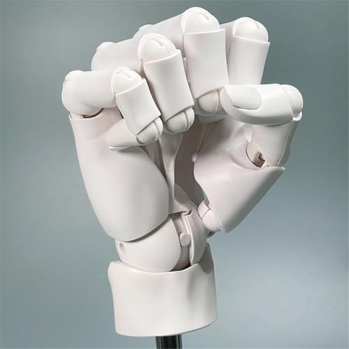 Main articulée main droite flexible 1:1 pour anatomie et robotique