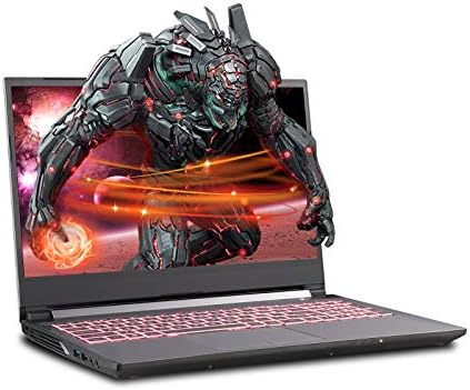 Sager NP7858DW 15.6-Inch Thin Bezel FHD 144Hz Gaming Laptop, Intel i7-10875H, RTX 2060 6GB, 32GB RAM, 500GB NVMe SSD + 1TB HDD, Windows 10