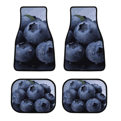 Lot de 4 tapis de sol de voiture Blueberry - Pour toutes saisons - Avant et arrière - Antidérapant - Pour voiture, SUV, camion