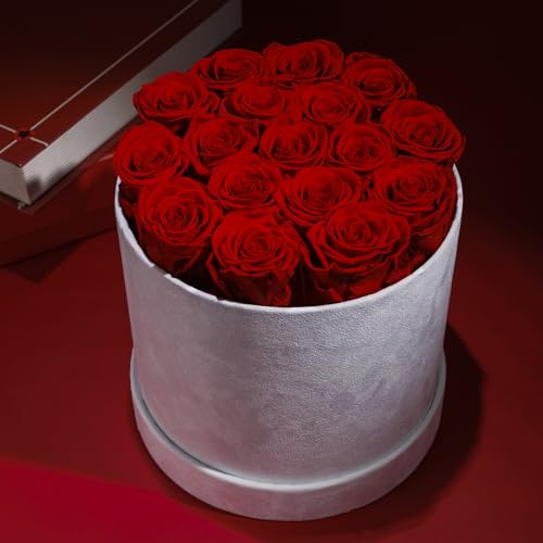 17 Flowers in a Luxury Suede Box, Birthday Gifts for Women, Preserved Flowers, Mothers Day Roses Gift for Mom, Red