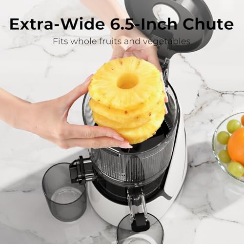 EanOruus 3-in-1 Cold Press Juicer
