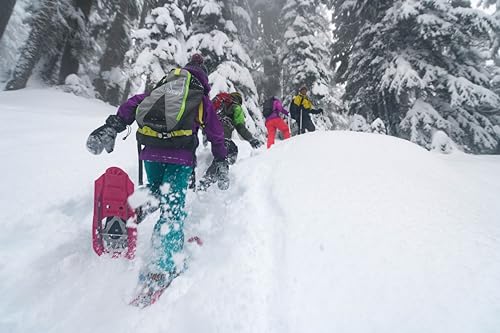 Chaussures de neige MSR Denali Shift avec fixations réglables juniors - 2