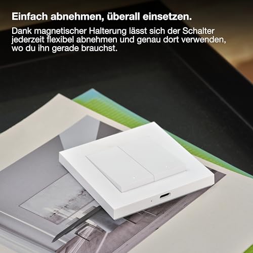 SMART+ WIFI REMOTE WALL SWITCH 2 Button