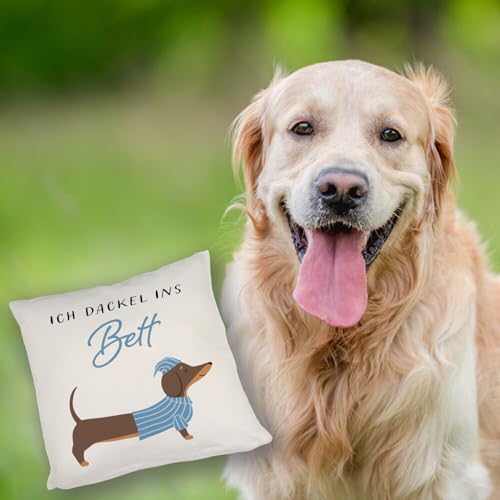 speecheese Dackel mit Pyjama Kissen mit Spruch Ich dackel ins Bett Hund Schlafen Schlafmütze SchlafKissen Relax Schlafanzug Pyjamaparty