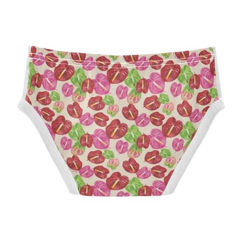 Boys' Exclusive Briefs Toddler Underwear 95% Combed Cotton Boxerbriefs 2T Anthurium Pattern 572