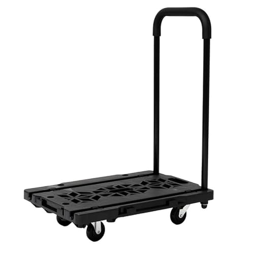 R[i IWi LIFELEX nhtA KR10-0509