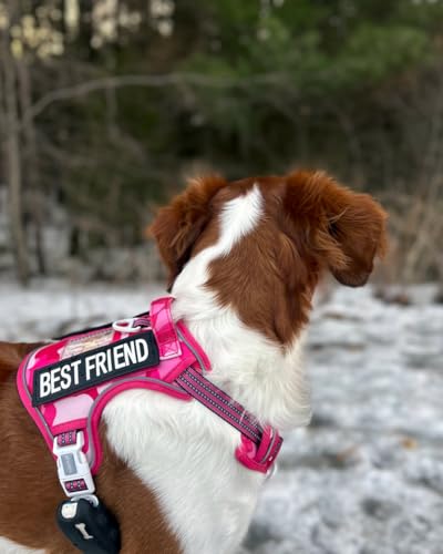 Image of AUROTH Dog Harness for Large Dogs, No Pull Tactical Dog Vest Heavy Duty