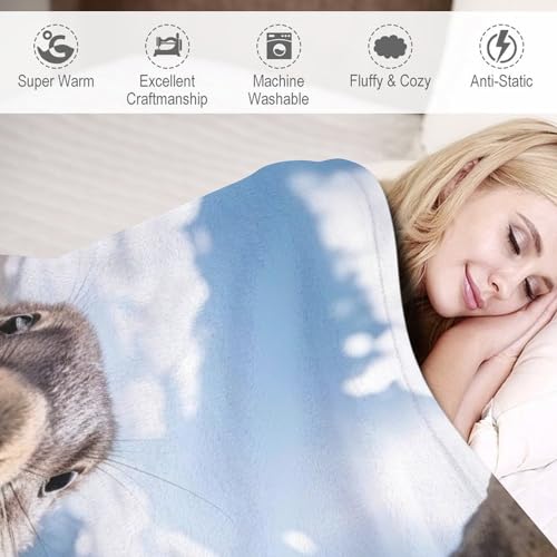 Couverture légère marmotte pour vos soirées cocooning