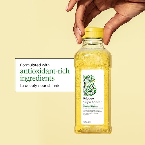 Briogeo Superfoods Banana + Coconut Nourishing Shampoo, Replenish Dull, Dry Hair and Supports Healthy Hair and Scalp, Vegan - Image 2