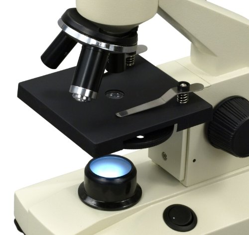 Close-up of microscope stage and LED light
