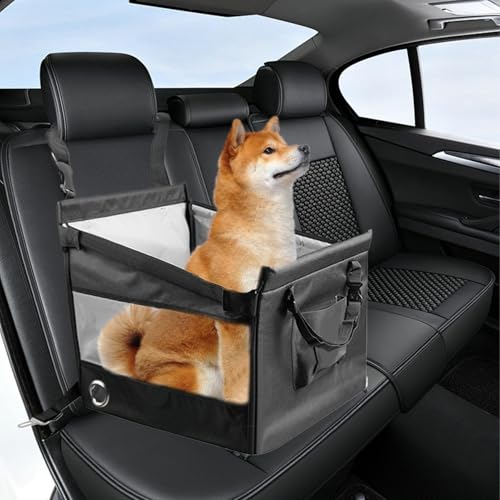 Siège d'auto de chiot pour voyager en voiture avec votre petit animal de compagnie