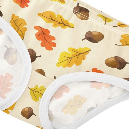 Plant Chestnut Yellow Toddler Girls's Underwear 2T 23019034