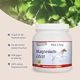 Pharmox Pferd & Pony Magnesiumcitrat (500 Gramm Pulver) - 100% aus reinem Magnesium ohne Zusätze - Hochdosiert - Ist gut für die Muskelfunktion - Für den Erhalt starker Knochen